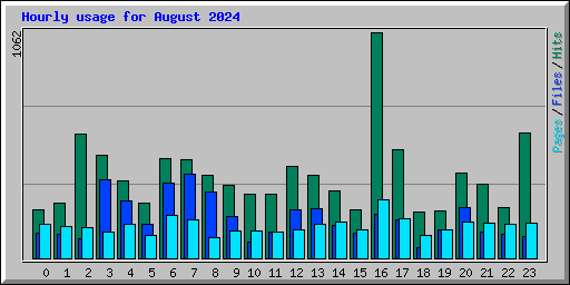 Hourly usage for August 2024