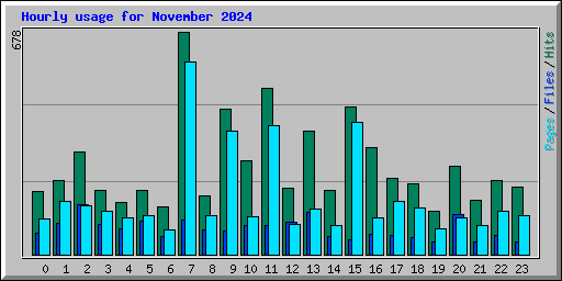 Hourly usage for November 2024