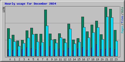 Hourly usage for December 2024