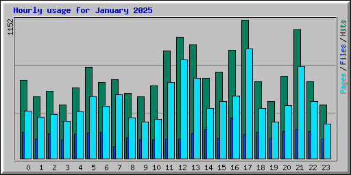 Hourly usage for January 2025