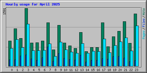 Hourly usage for April 2025