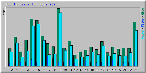 Hourly usage for June 2025