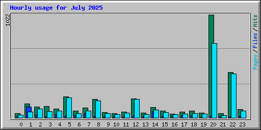 Hourly usage for July 2025