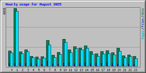 Hourly usage for August 2025