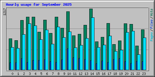 Hourly usage for September 2025
