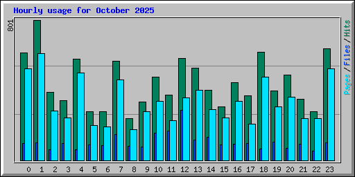 Hourly usage for October 2025