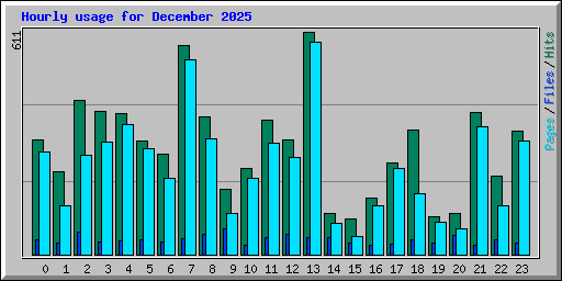 Hourly usage for December 2025