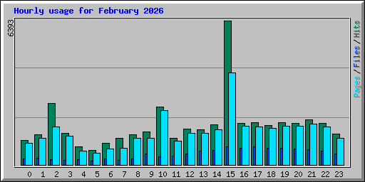 Hourly usage for February 2026