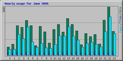 Hourly usage for June 2026