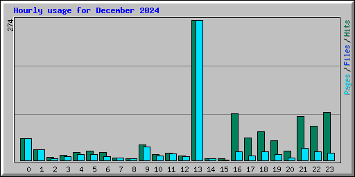 Hourly usage for December 2024