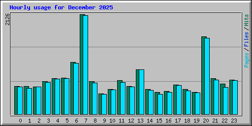 Hourly usage for December 2025