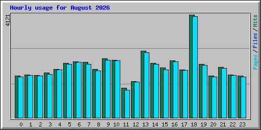 Hourly usage for August 2026