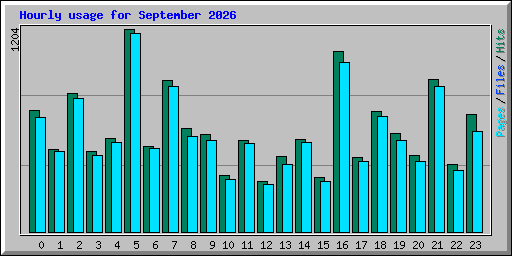 Hourly usage for September 2026